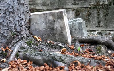 Erbschaft ausschlagen: Wie, wann, und warum überhaupt?*